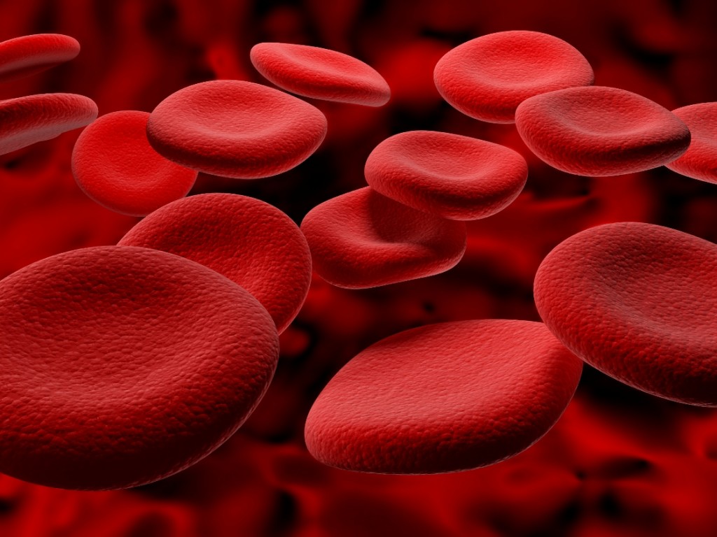 blood_cells_RBCs